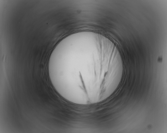 X0000101210717200807251049
