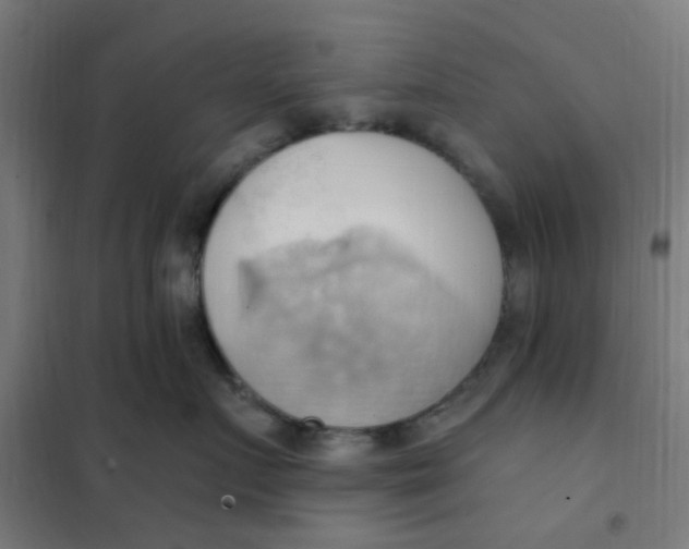 X0000101210719200807251049