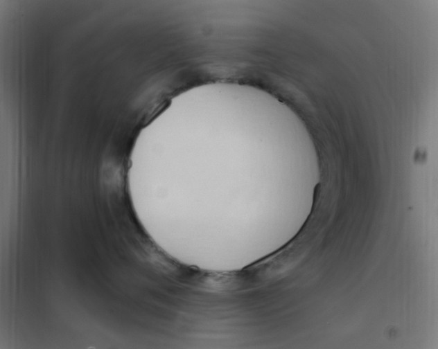 X0000101210720200807251049