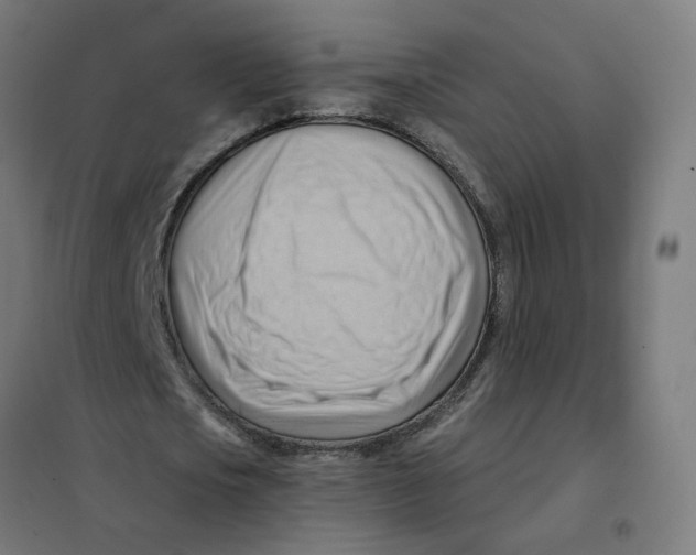 X0000101210721200807251048