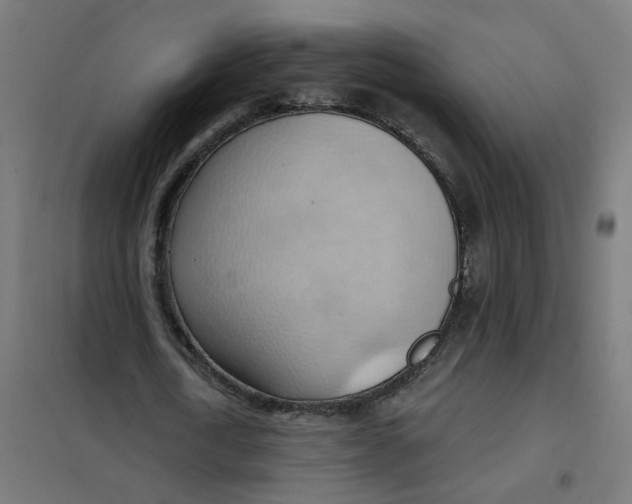 X0000101210722200807251048