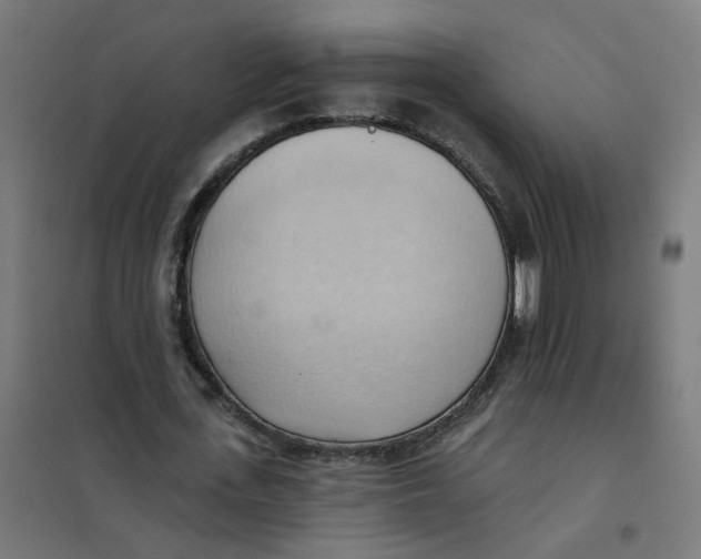 X0000101210723200807251048