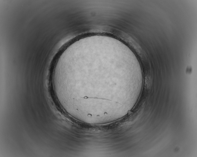 X0000101210724200807251048