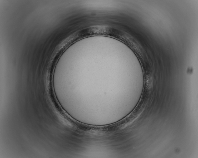 X0000101210725200807251048