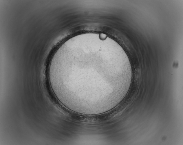 X0000101210727200807251048