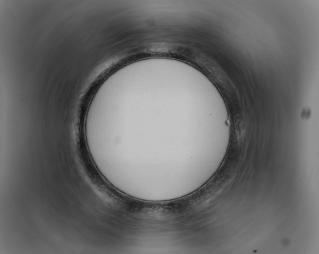 X0000101210728200807251048