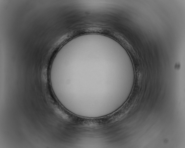 X0000101210729200807251048