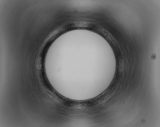 X0000101210731200807251048