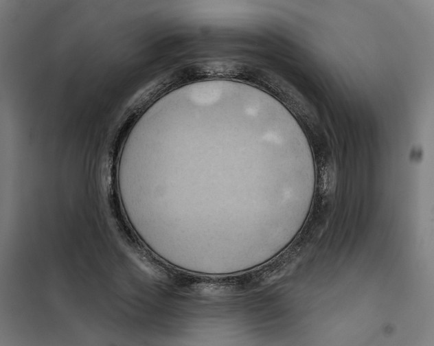 X0000101210733200807251048