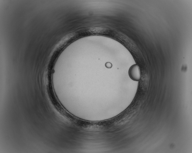 X0000101210734200807251048