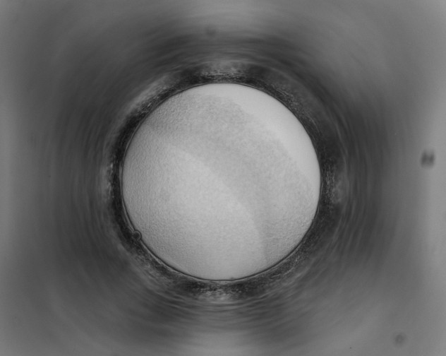 X0000101210735200807251048