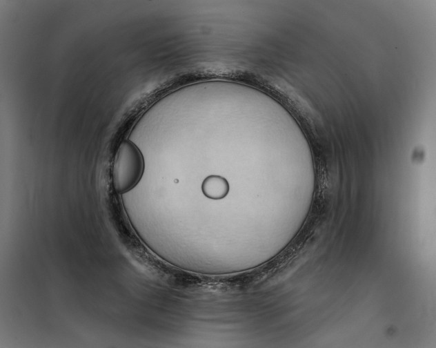 X0000101210736200807251048