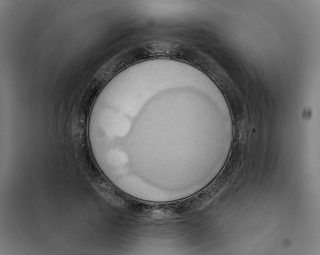 X0000101210737200807251048