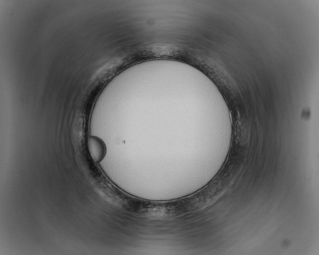 X0000101210740200807251049