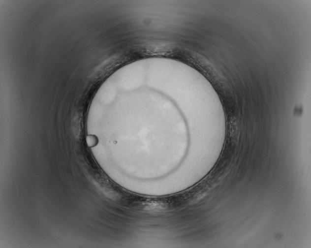 X0000101210741200807251049