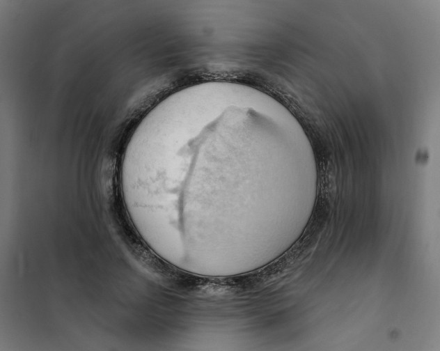 X0000101210742200807251049