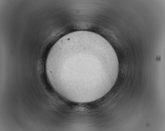 X0000101210743200807251049