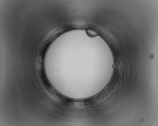 X0000101210744200807251049