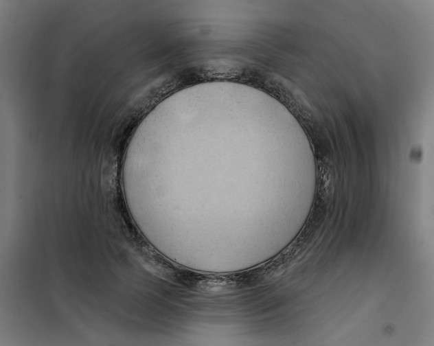 X0000101210745200807251049