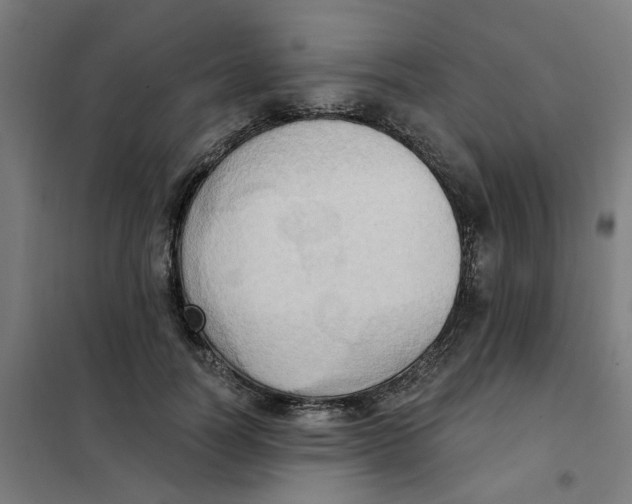 X0000101210746200807251049