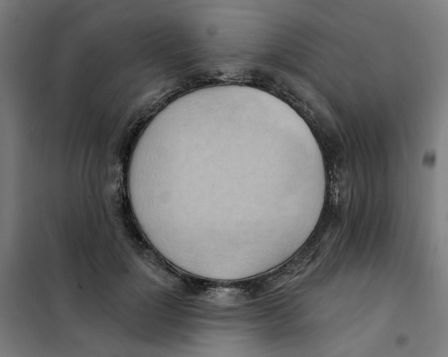 X0000101210748200807251049