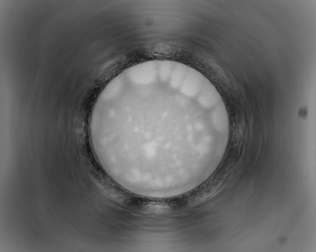 X0000101210749200807251049