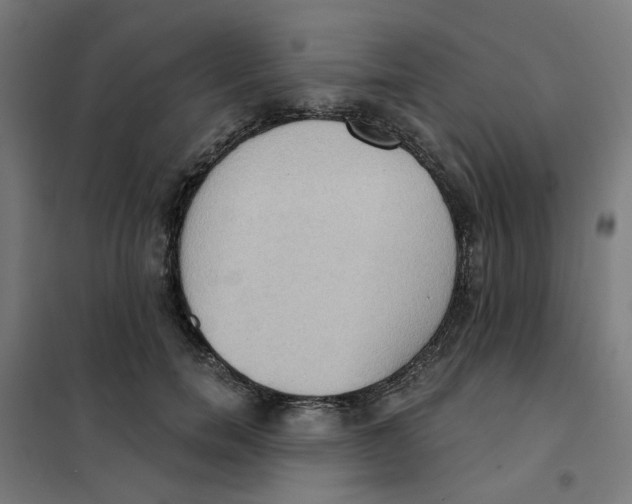 X0000101210750200807251049