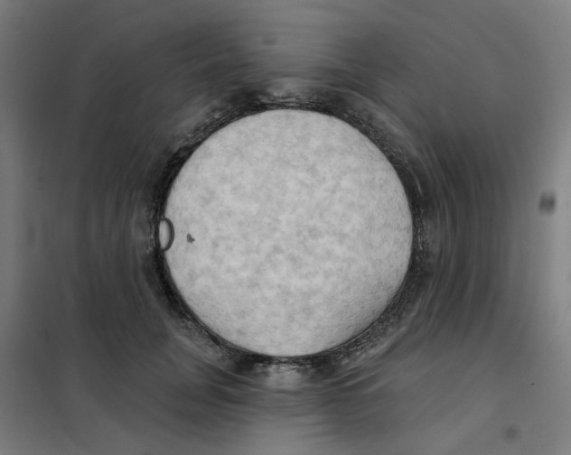 X0000101210751200807251049