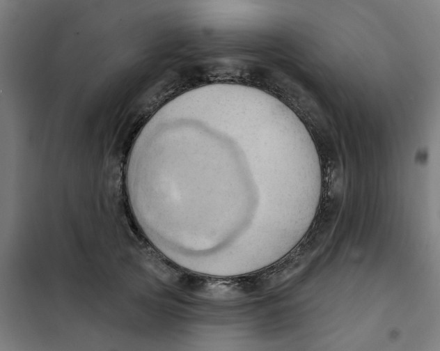 X0000101210753200807251049