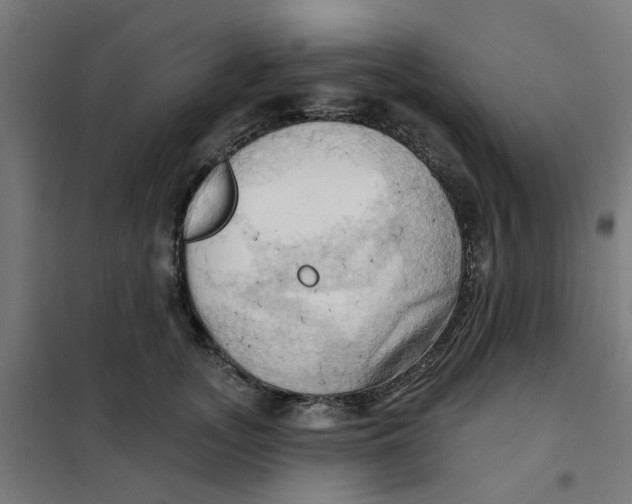 X0000101210755200807251049