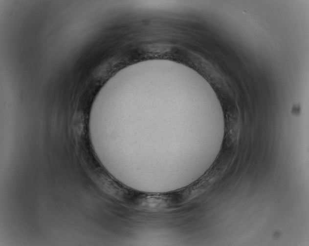 X0000101210758200807251049