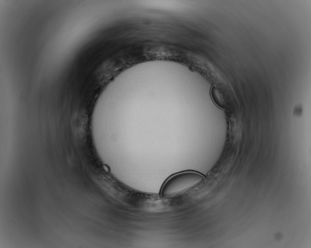 X0000101210760200807251049