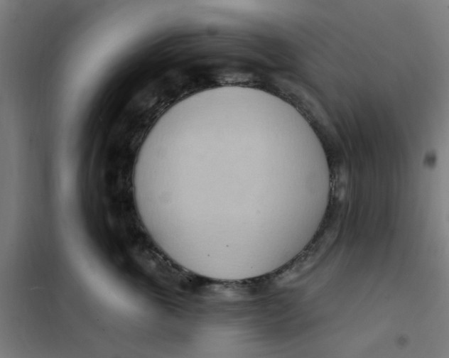 X0000101210763200807251049