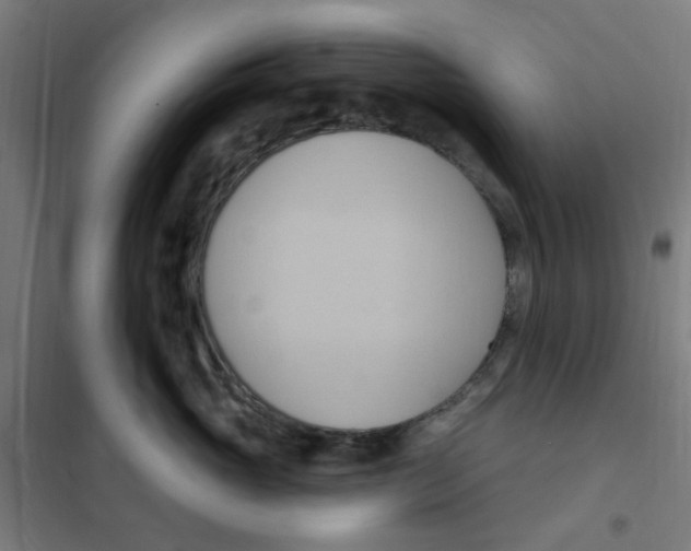 X0000101210765200807251049