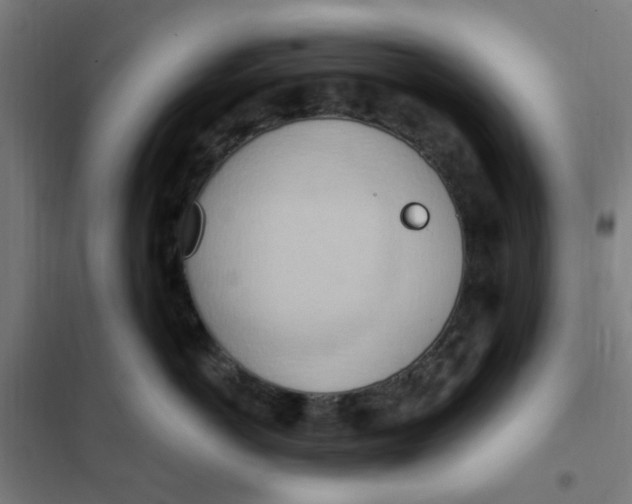 X0000101210766200807251049