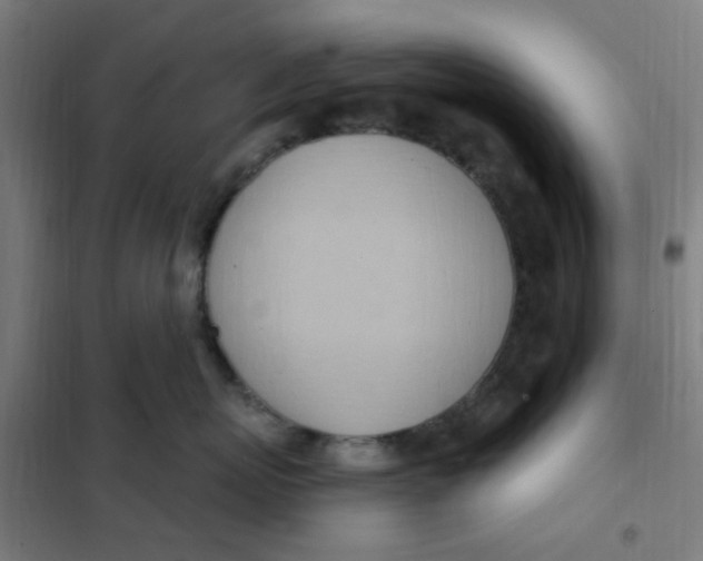 X0000101210767200807251049