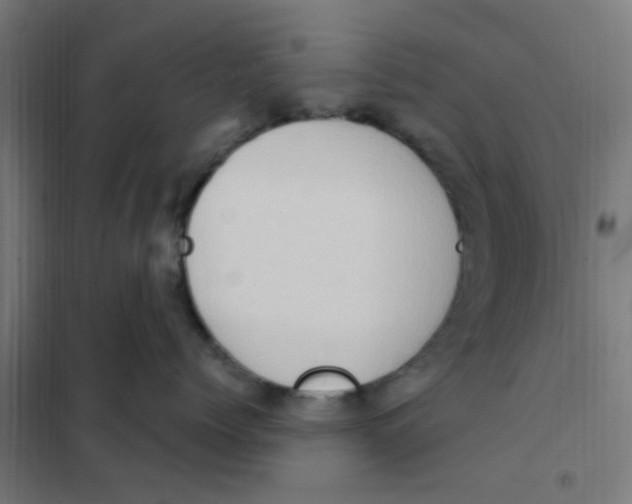 X0000101210768200807251049