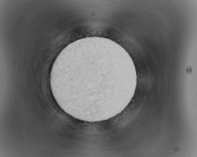 X0000101210769200807251048