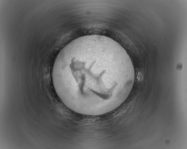 X0000101210771200807251048