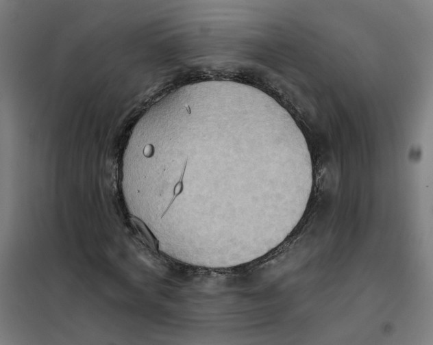 X0000101210772200807251048