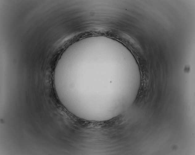 X0000101210773200807251048