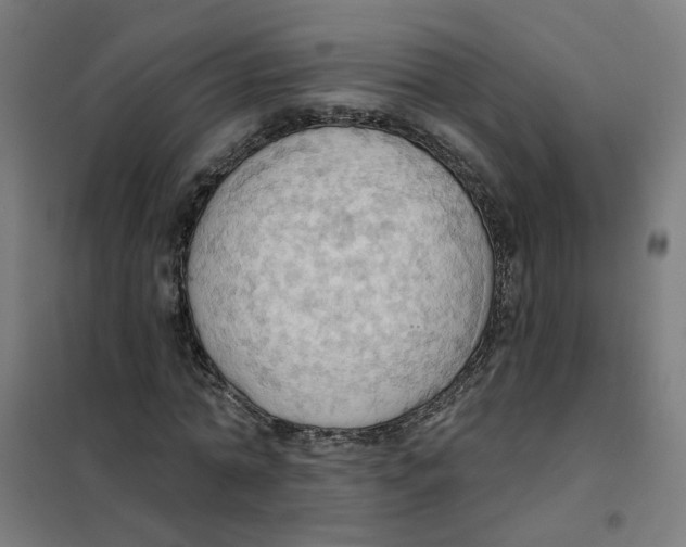 X0000101210774200807251048