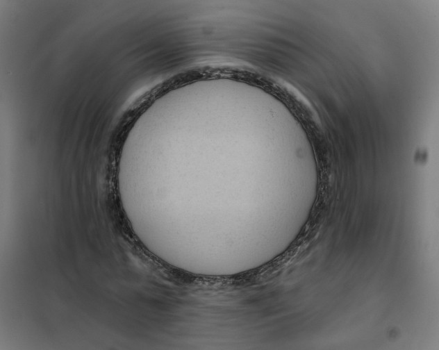 X0000101210775200807251048