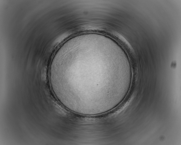 X0000101210777200807251048