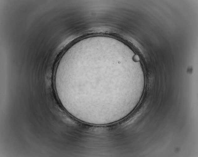 X0000101210778200807251048