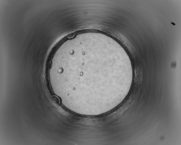 X0000101210780200807251048