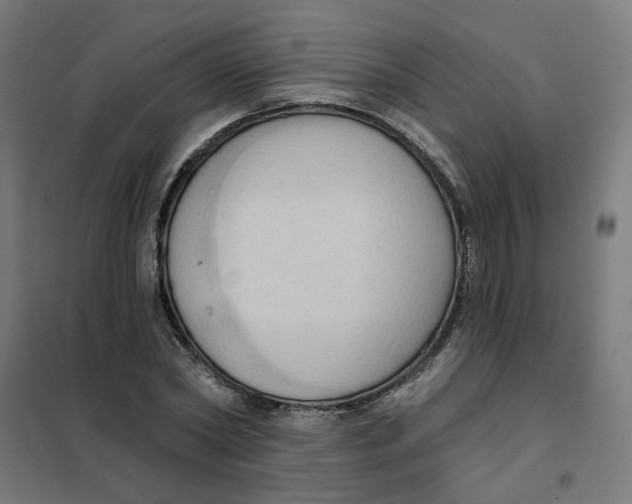 X0000101210782200807251048