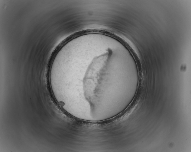 X0000101210783200807251048