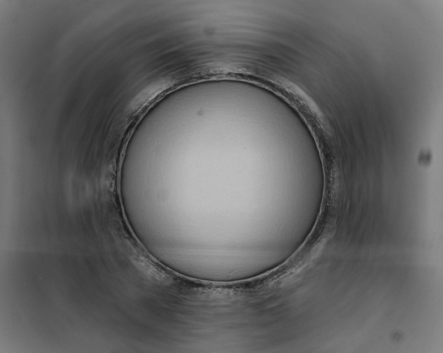 X0000101210785200807251048