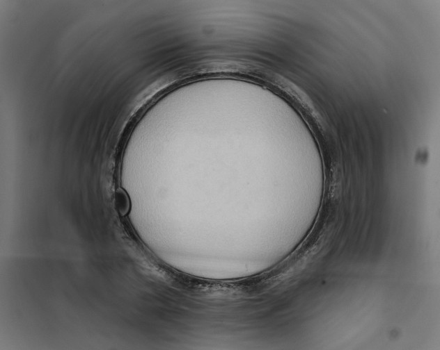 X0000101210786200807251048